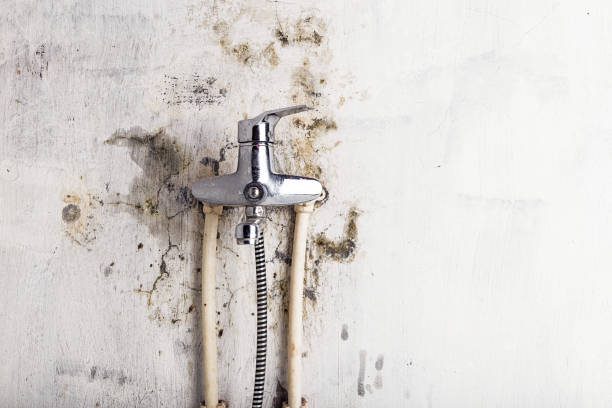 Best HVAC Mold Remediation in Lake Winnebago, MO